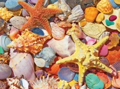 Beach Shells (1486pz) - 500 Pieces
