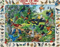Birds of the Back Yard (267pz) - 1000 Piece Jigsaw Puzzle