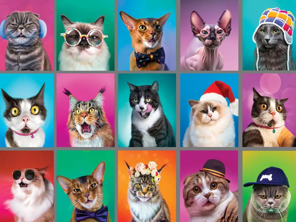 Cat Portraits (1850pz) - 500 Piece Jigsaw Puzzle
