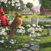 Country Life Seek and Find (1964pz) - 1000 Piece Jigsaw Puzzle