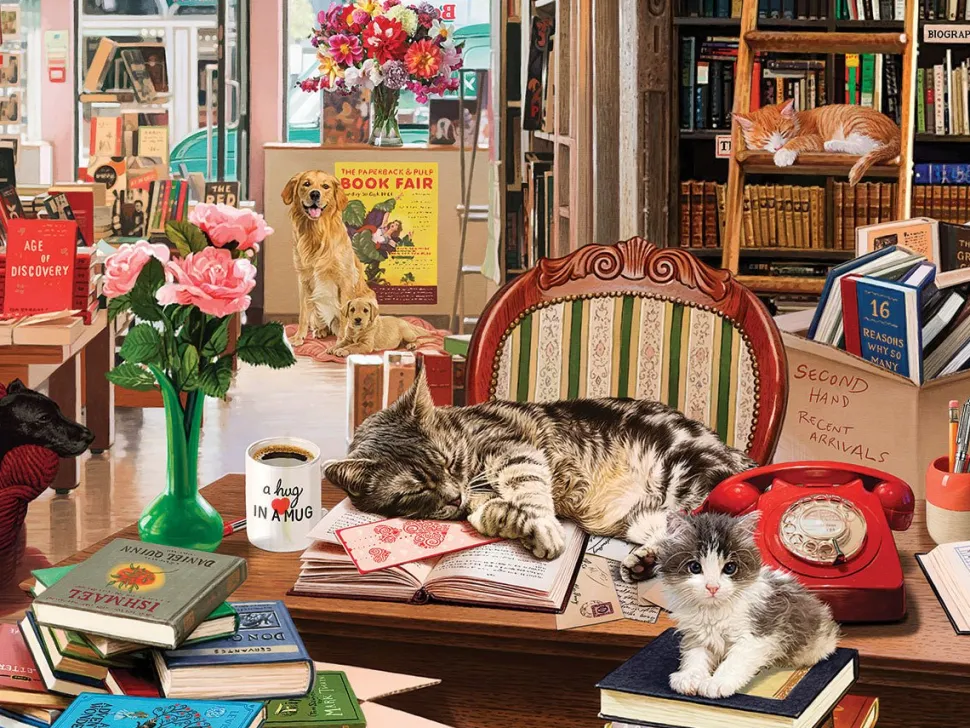 Cozy Bookshop (1797pz) - 500 Piece Jigsaw Puzzle