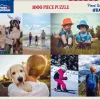 Custom Puzzle 19.25" x 26.625" - 1000 Piece Puzzle