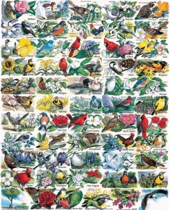 State Birds & Flowers (140pz)- 1000 Piece Jigsaw Puzzle