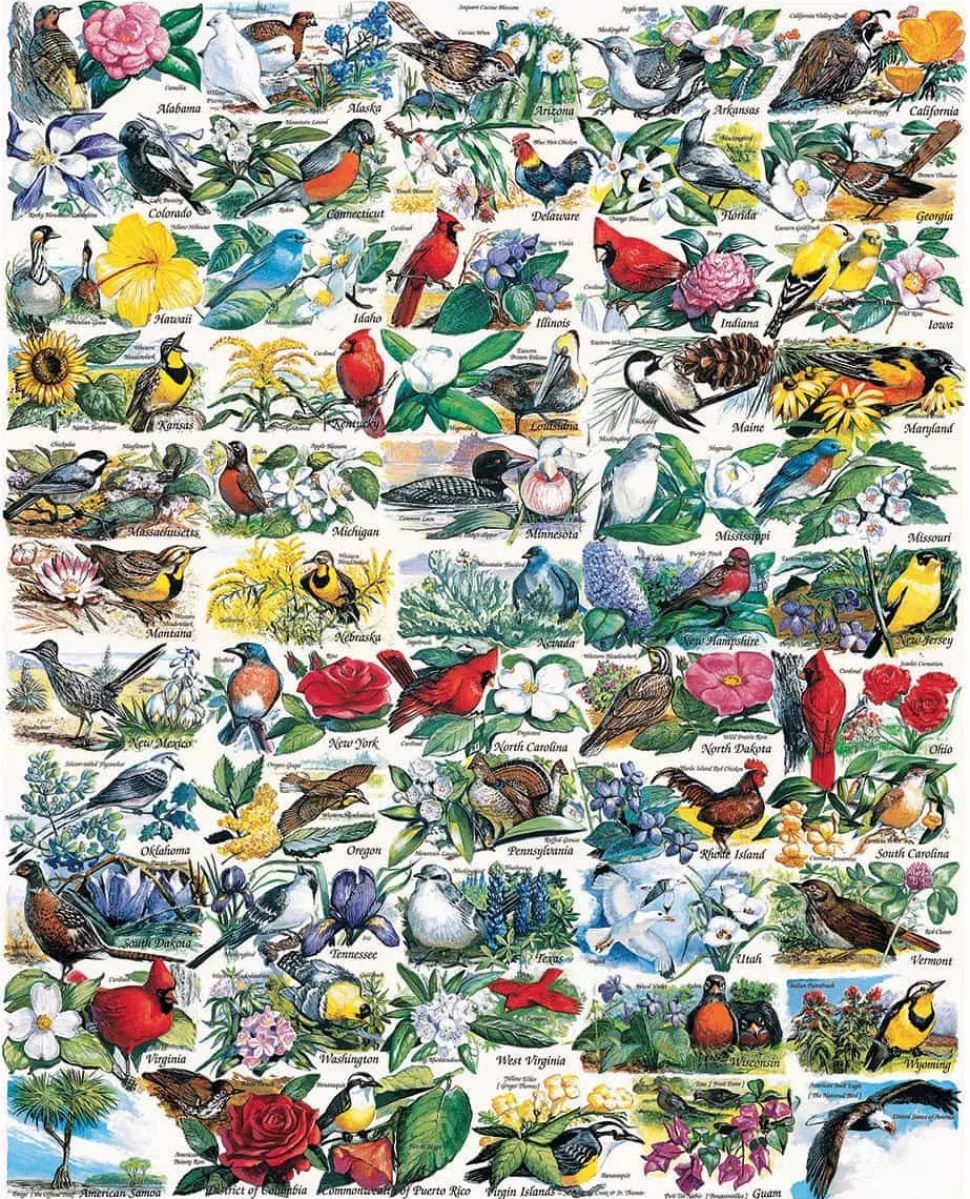 State Birds & Flowers (140pz)- 1000 Piece Jigsaw Puzzle