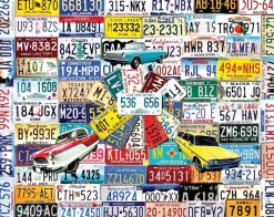 State Plates (1259pz) - 500 Pieces